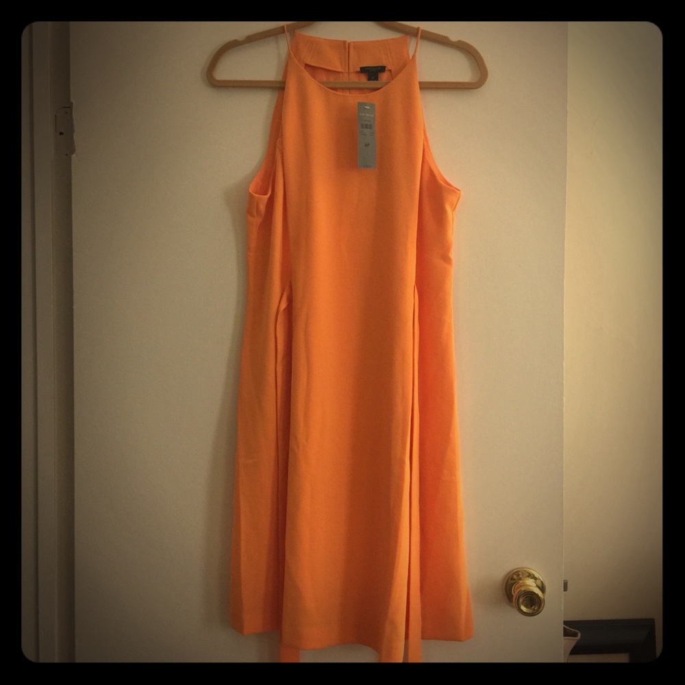 Ann Taylor Dress